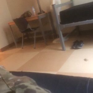 Meet your Posher, Ariel